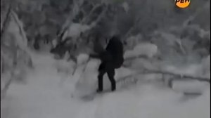 перевал дятлова