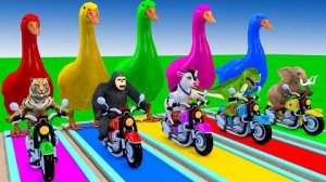 3d Игра с животными - Забавные 3d животные 5 УТОК Мультфильм про смешных питомцев Разноцветных