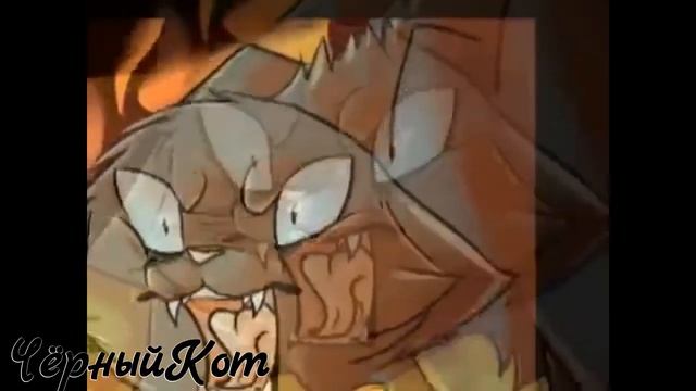 Коты Воители Уголек - Я режу запястья, не верю я в бога (заказ)