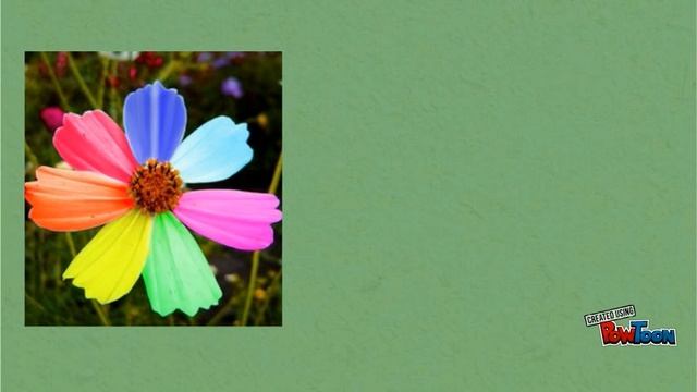 Види речень за метою висловлювання.