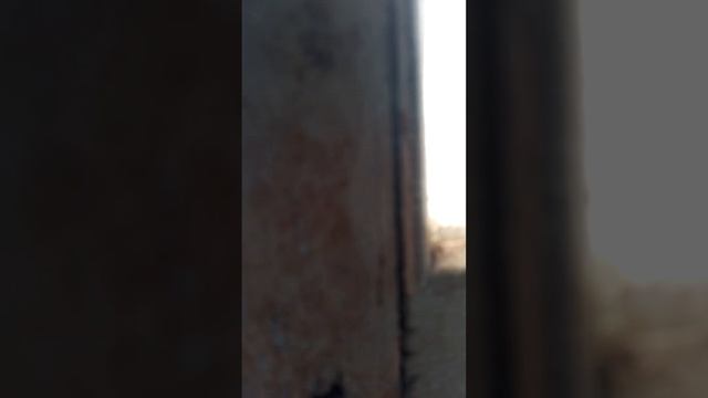 под конец я случайно сказал бештау а не Эльбрус