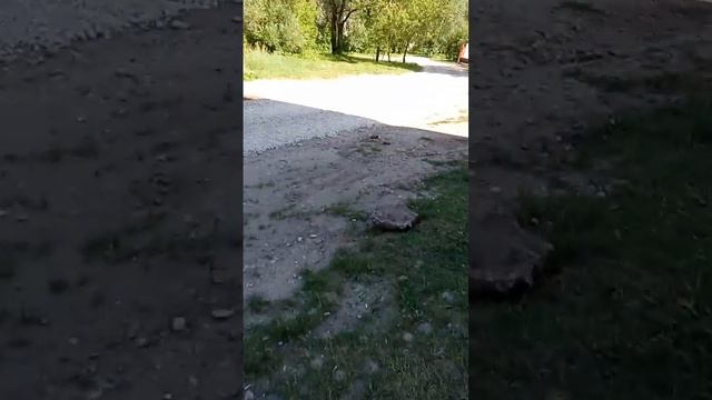 Луну видно весь день: вечером, днем, утром и ночью! А что тогда видят на "другой" стороне "шара"? смотреть онлайн