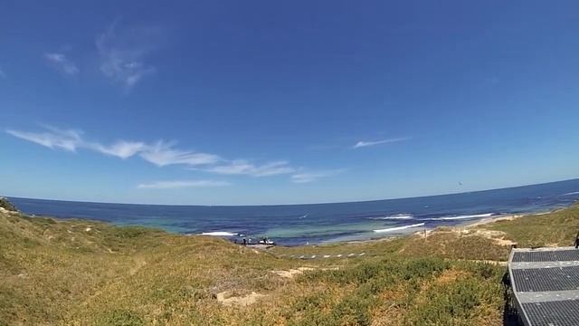Penguin Island Paddleboard Adventure - 2020 смотреть онлайн