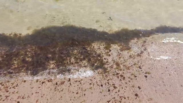26.06.2024 г Чистое ли море в Одессе Аркадия?????? смотреть онлайн