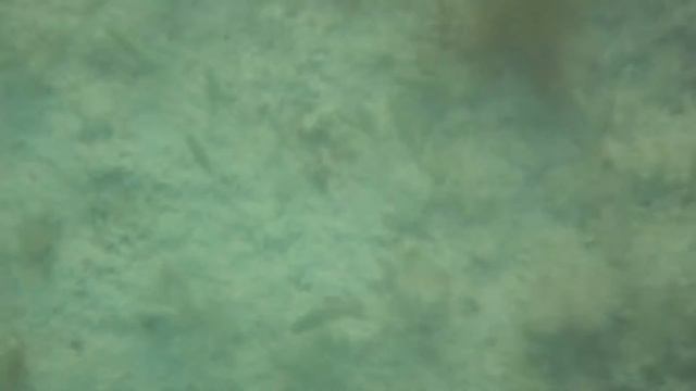 Отдых на Кипре. Сентябрь 2019. смотреть онлайн