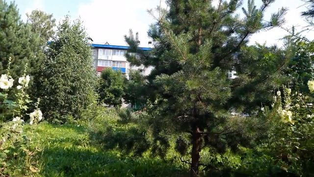 Красота ,не отходя от дома! смотреть онлайн