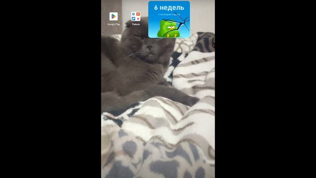 бобу смотреть онлайн