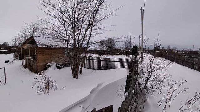 ОХОТА НА ЗАЙЦА 13.01.2024, ГОНКИ ЗА ЗАЙЦЕМ ПО ОГОРОДУ. смотреть онлайн