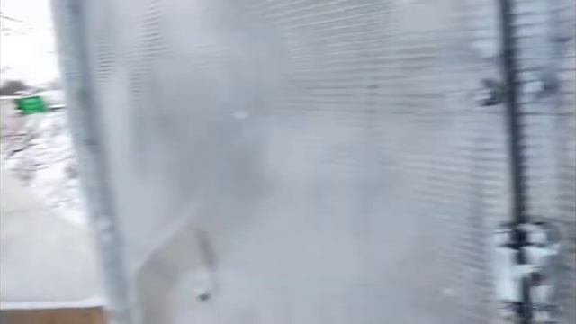 снег снежок