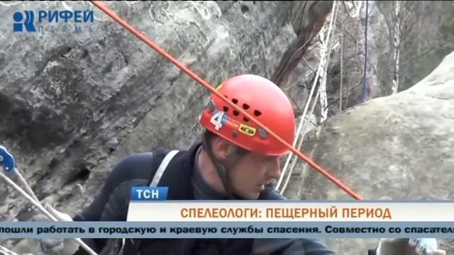 Телевизионная служба новостей (20 ноября)