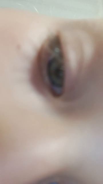 7 августа 2024 г.