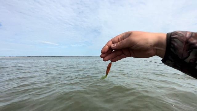 Рыбалка на Обском водохранилище, лето 2024. Бриз обского моря. Рыбалка на ОВХ, Боровские острова смотреть онлайн