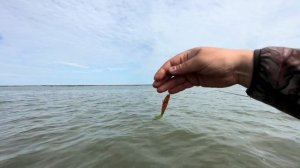 Рыбалка на Обском водохранилище, лето 2024. Бриз обского моря. Рыбалка на ОВХ, Боровские острова