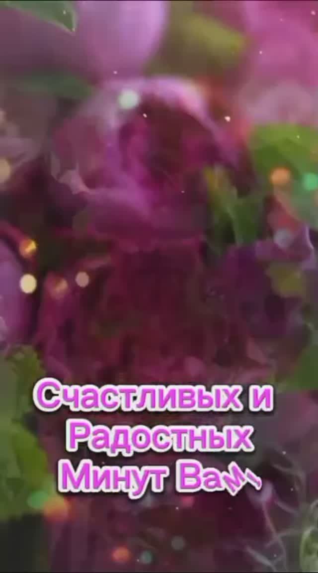 Доброе утро. Добрый день. Добрый вечер. ВидеоОткрытки на Каждый день смотреть онлайн