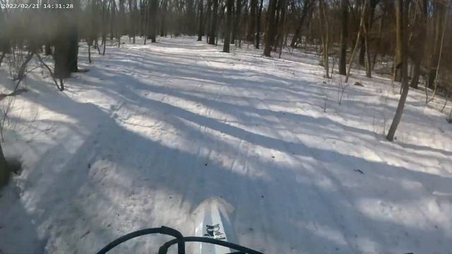 22 февраля 2022 г.