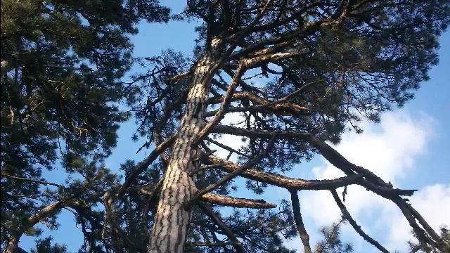 Послание 2017-12-11