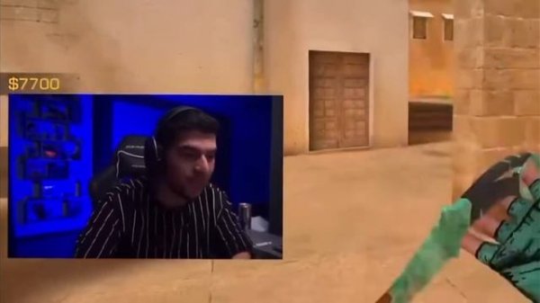 текст обзор кози