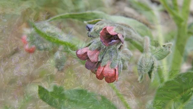 Горячая, Развалка и Медовая
