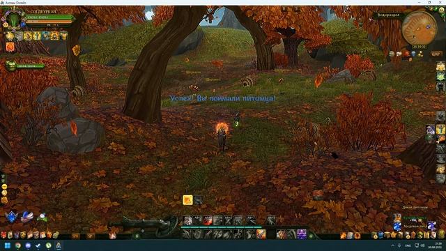 Медовая пчела