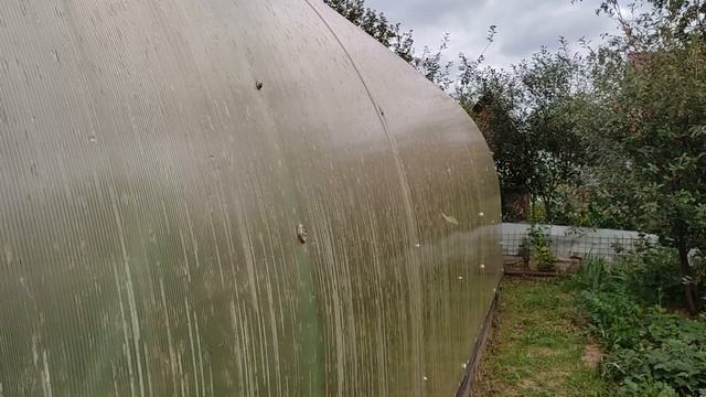 Размышления о том, какой поликарбонат выбрать для теплицы смотреть онлайн