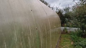 Размышления о том, какой поликарбонат выбрать для теплицы