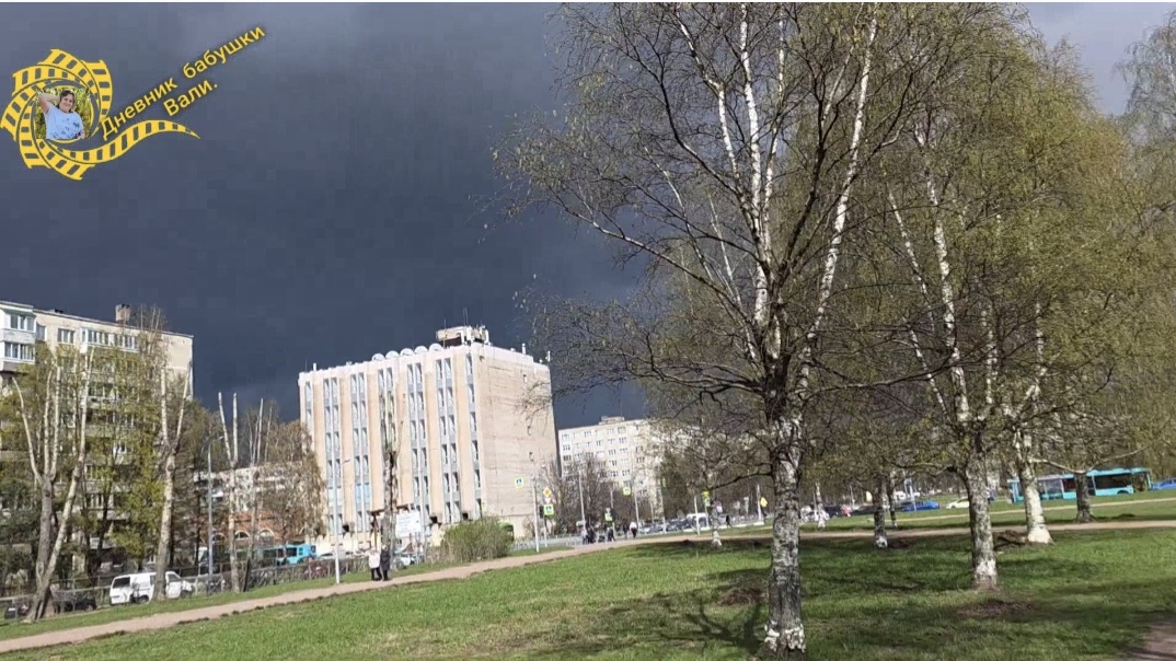 В Питере снег. смотреть онлайн