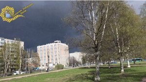 В Питере снег.