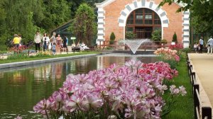 Аптекарский огород МГУ .Москва