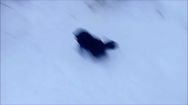 Когда отцепил собаку