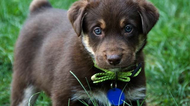 Канал свежих русских песен и фото 2015 смотреть онлайн