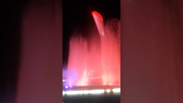 13 октября 2023 г.