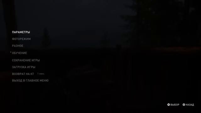 ОСТРОВ ШИЗОВ | The last of us part 2 №29