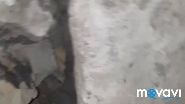 НОЕВ КОВЧЕГ/Раскопки продолжаются/6/ смотреть онлайн