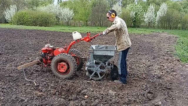 Посадка картофеля мотоблоком МТЗ-05, 2025 г., часть 1