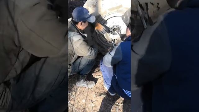 Рекс 4310 смотреть онлайн