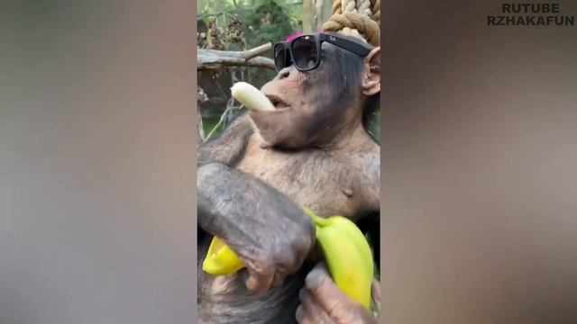 Достойный Отдых После Тяжелого Трудового Дня смотреть онлайн