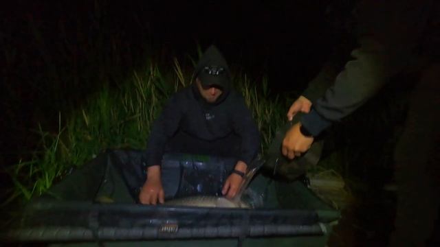Ці карпи ломають вудки та крючки ● RoMaX Fishing смотреть онлайн
