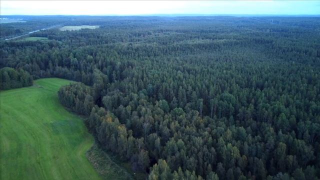 Лосево 2 DJI Mini2