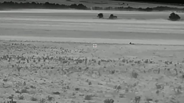 #Тепловизорный #монокуляр #Sytong Xs 03-25 Lrf #видео с полей.