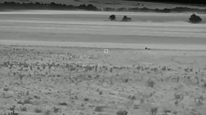 #Тепловизорный #монокуляр #Sytong xs 03-25 lrf #видео с полей.