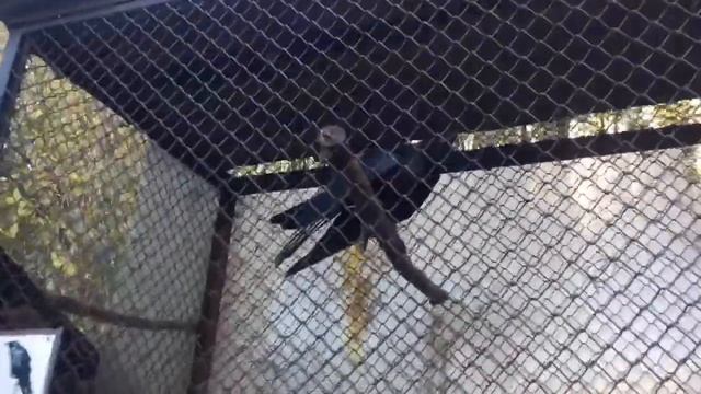 8 ноября 2020 г.Экоцентр 2 смотреть онлайн