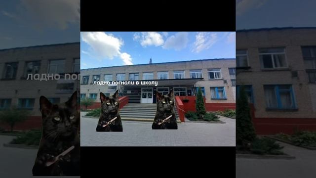 как проходит наш день:)