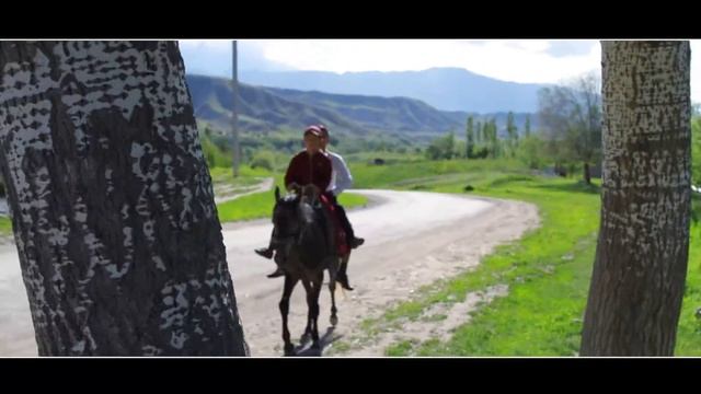 ТОКТОГУЛДУН ГҮЛҮ_Түгөлбай Нажмудинов.