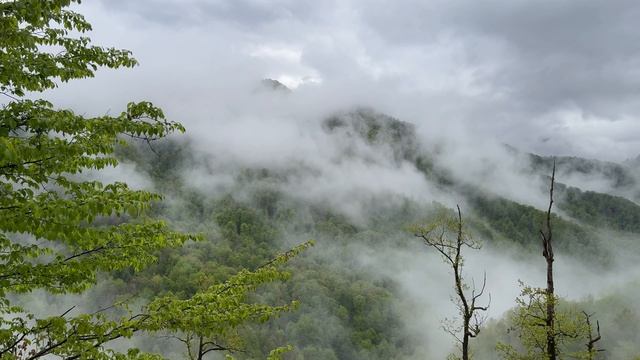 26-04-2025 Оля Адлер