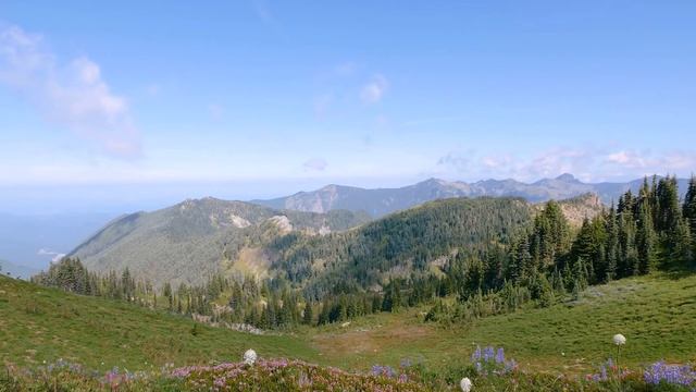 В любви не жди ответа, на то она и высшая Любовь (альбом Мира Единого).