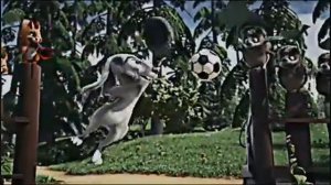 Эдит лев Яшин