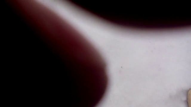 бабья гора 9