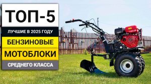Лучшие бензиновые мотоблоки среднего класса | ТОП-5 в 2025 году