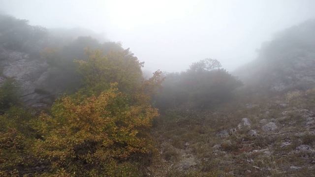 Спуск с Ай Петри