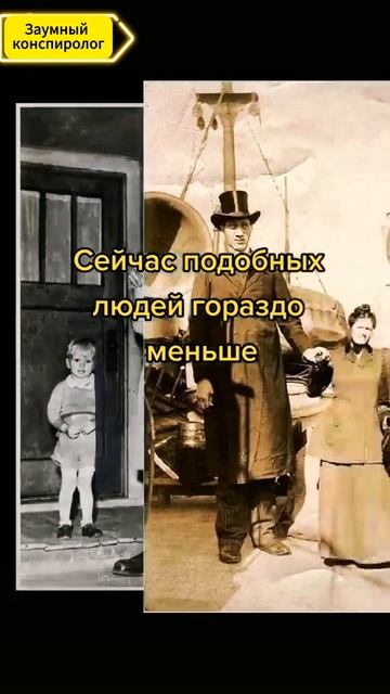 #фотовеликаны #интересныефакты #история #мистика #фантастика #альтернативнаяистория #гиганты